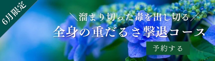 全身の重だるさ撃退コース